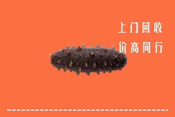 太原回收海参